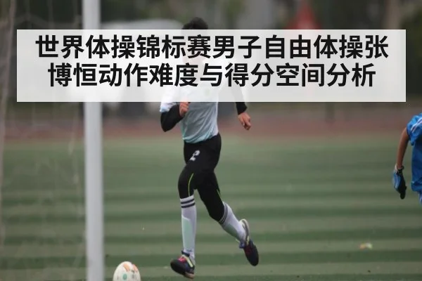 世界体操锦标赛男子自由体操张博恒动作难度与得分空间分析